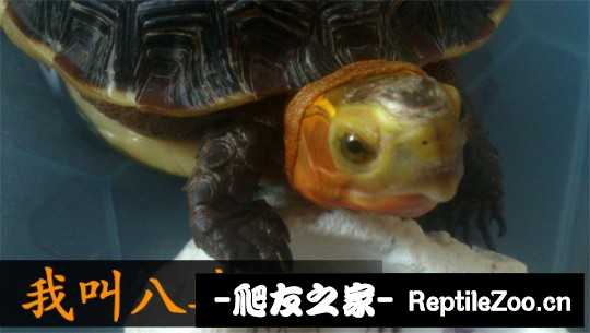 221422fc8vtsthrcgsx8ri.jpg