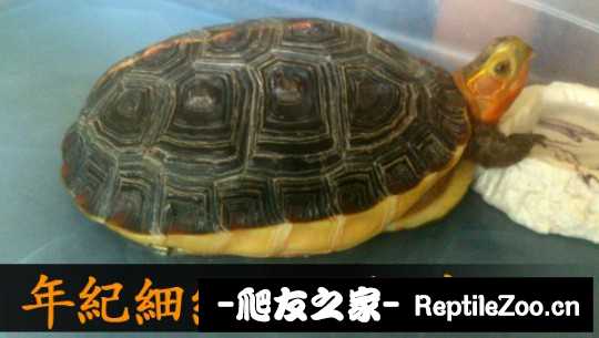 221422juguqhvhqhpyghnk.jpg
