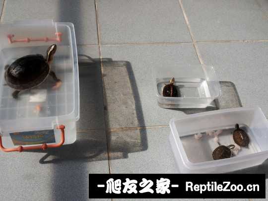 221544o295sxbhyys1lz55.jpg
