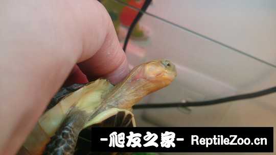 221719efdvq8adq9dytety.jpg