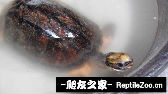 221724reeloiicljjlljdi.jpg
