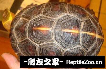 221736wvhyt48hstu5y95v.jpg