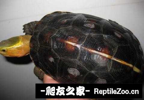 221737jqxptisirfdhxd1k.jpg