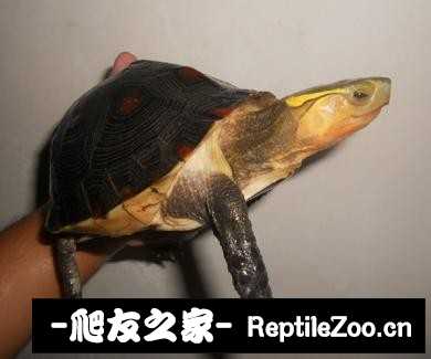 221740wp9qsjsj0fph0hqb.jpg