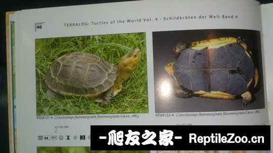 221741o1krswkkuib1r34u.jpg