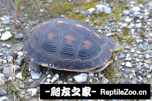 221747u2m52c3od972g95o.jpg