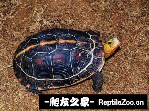 221749axcgwv3vxxk9vxsv.jpg