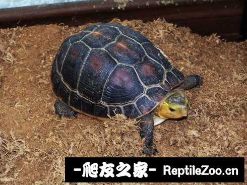 221750rtwj5wndjwbno5if.jpg