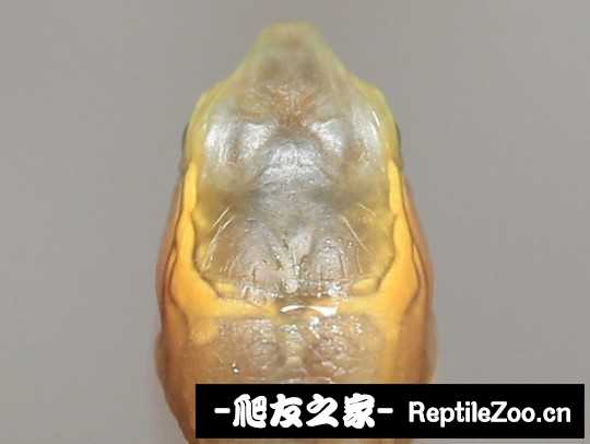 221908vyu84yyx8uad47dg.jpg