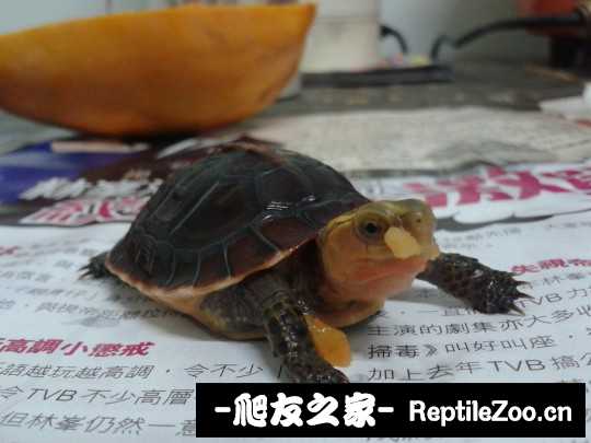 222148omnklwuo6nmowvn8.jpg