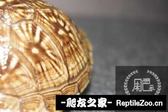 222224t575a17hr1baa156.jpg