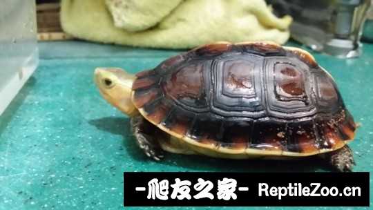 222245uu6kuhd66sifs22u.jpg