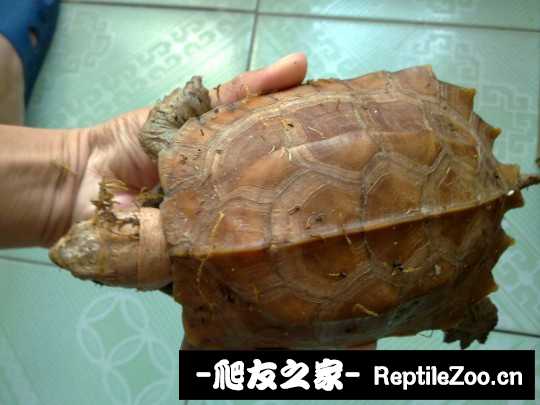 222325bu7lxyapphpinlzr.jpg