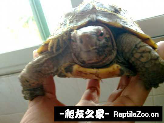 222325jqj7mz4ugmqqiggd.jpg