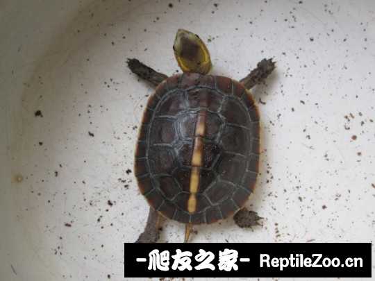 222410gfjyzyq11h2z8rkj.jpg