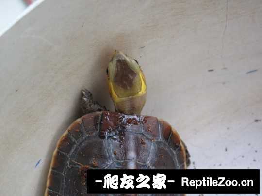222410jkozjg0nbqqozk7j.jpg