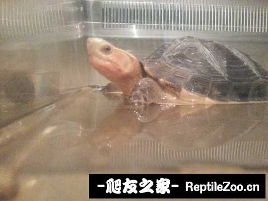 222441bog939ygygf4454u.jpg