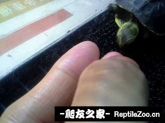 222519zctcwhcewwvhiepq.jpg