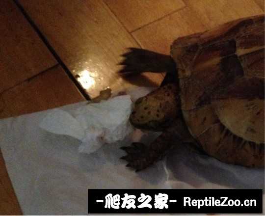 222543uji9zjirelwlw9z9.jpg