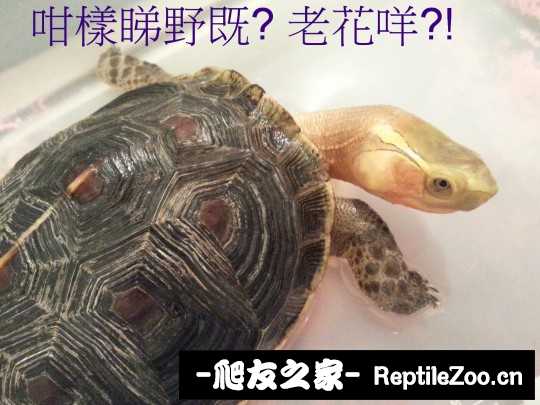 222552yfhk4oh4hfw2bgzw.jpg