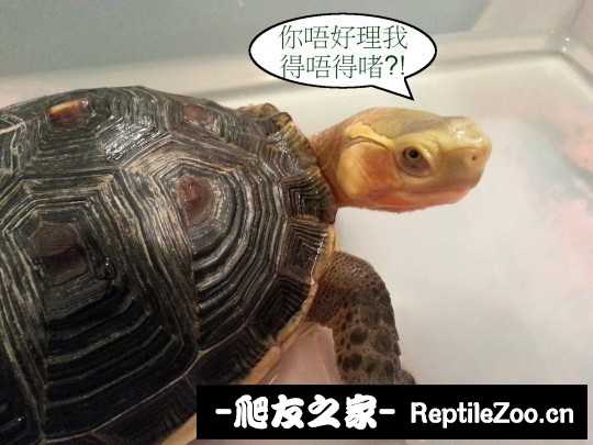 222553o7hfh33ghnz2o0zx.jpg