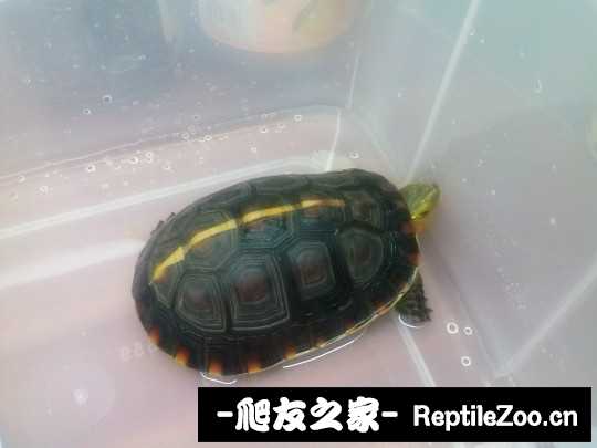 222603x8dr7djidni88daz.jpg