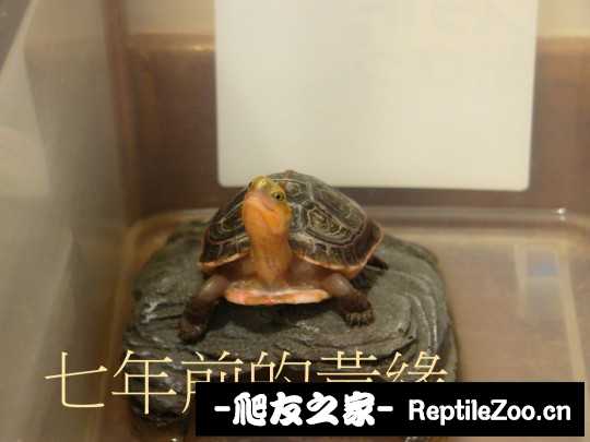 222632eo3j2ft11zoo453j.jpg
