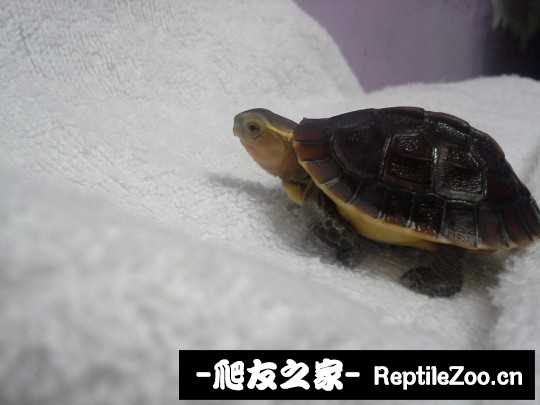 222931xuuguu7cbag6jzbz.jpg