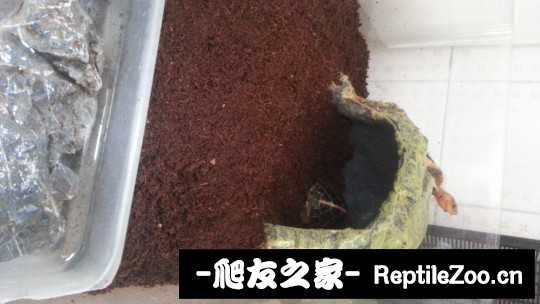 222956qj8ypfyr7yfvrz27.jpg