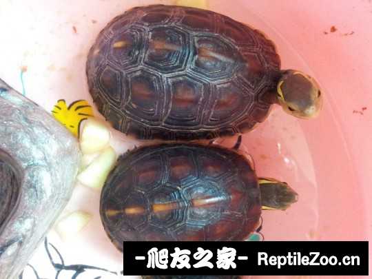 223001smvmg9qmnfmrfw55.jpg