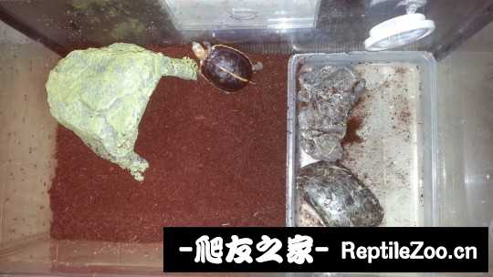 225029j4fxzjjyph8fpp8y.jpg