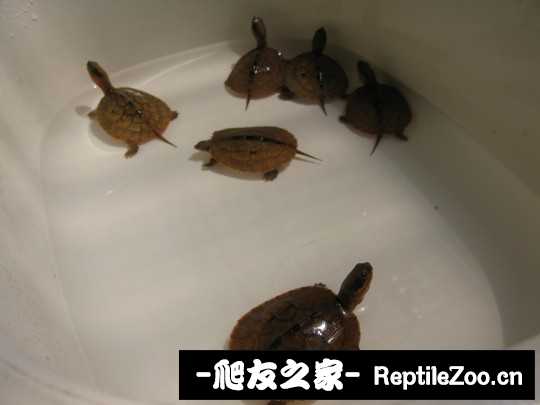 225033yi1hdw5lphdvuslc.jpg