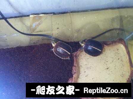 225042z02dozrffe5e2feh.jpg