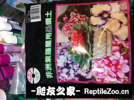 225135azzp8tco0t1rv5jp.jpg