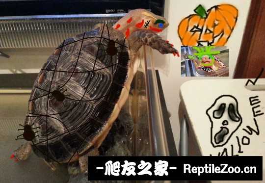 225215jsrllemxao5ntakn.jpg