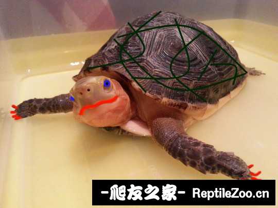 225219orvg4j6eugj0eug7.jpg