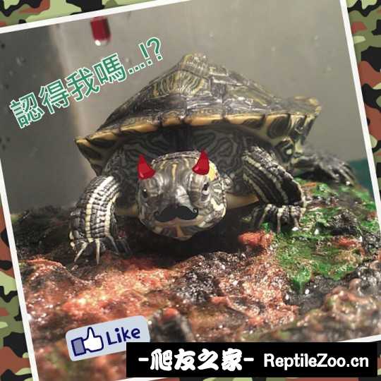 225220s3jiicq3qmmd7zzs.jpg