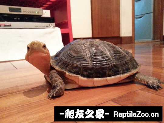 225243ywwuyeweie853opy.jpg