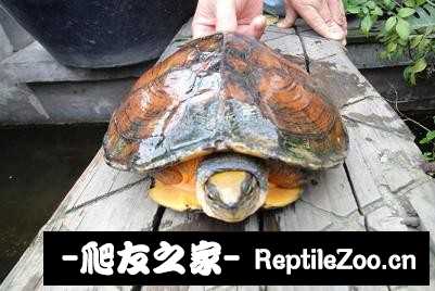 225252nmixpmy33ymhqvmt.jpg