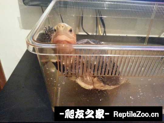 225401qd23l82kz4e3y2ls.jpg