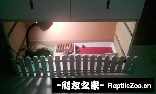 225416irffotfr03858f33.jpg