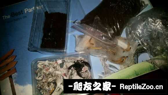 display_picture.php?url=http%3A%2F%2Fimgsa.baidu.com%2Fforum%2Fw%253D580%2Fsign%3D1b05edfe8f13632715edc23ba18ea056%2F1289d80735fae6cd7153da430ab30f2443a70f4a.jpg