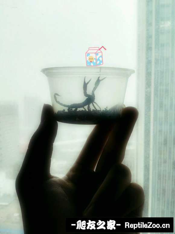 display_picture.php?url=http%3A%2F%2Fimgsa.baidu.com%2Fforum%2Fw%253D580%2Fsign%3D0660bb1c98cad1c8d0bbfc2f4f3e67c4%2Fdc20beb7d0a20cf4078355ec7b094b36acaf9910.jpg