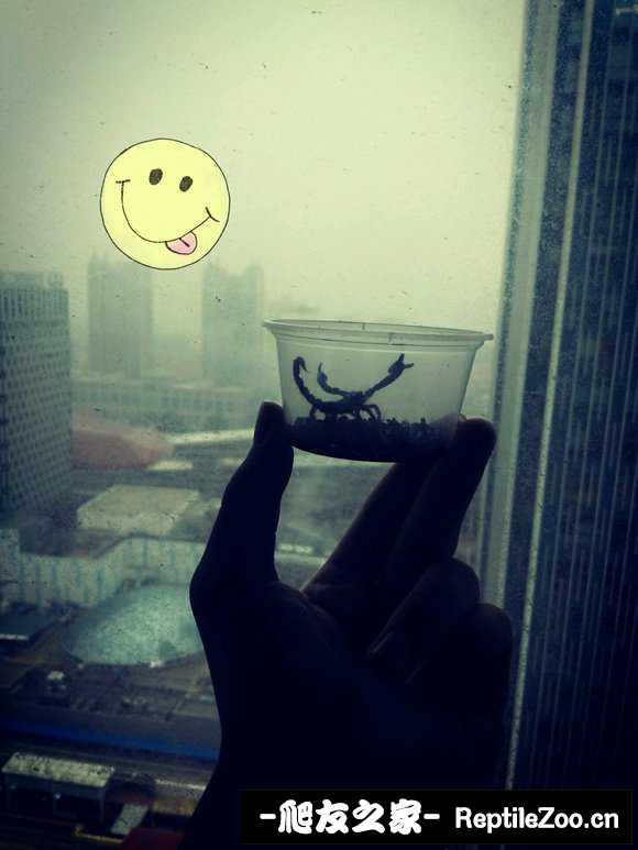 display_picture.php?url=http%3A%2F%2Fimgsa.baidu.com%2Fforum%2Fw%253D580%2Fsign%3D0f14280337f33a879e6d0012f65c1018%2F36be8b01a18b87d6fd52002c0a0828381f30fd10.jpg