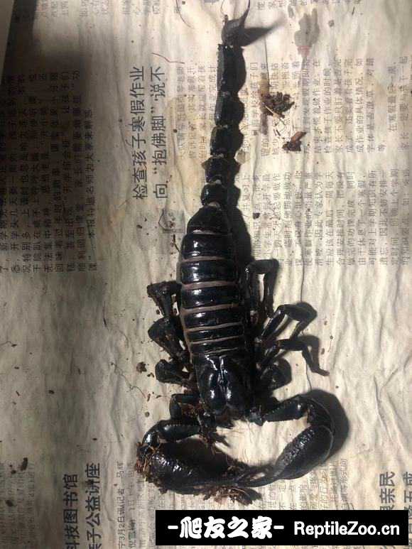 display_picture.php?url=http%3A%2F%2Ftiebapic.baidu.com%2Fforum%2Fw%253D580%2Fsign%3D5f773e58658b4710ce2ffdc4f3cfc3b2%2Fbca32d3fb80e7becb131c598382eb9389a506b07.jpg