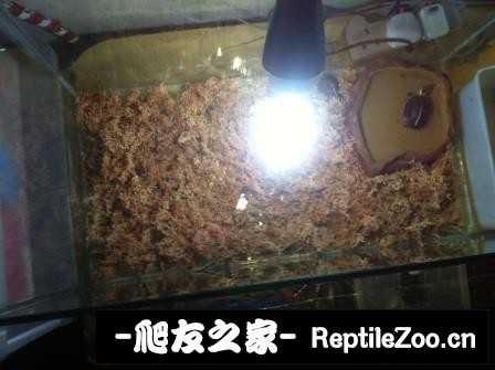 230138nl8wljo9j9t4lrwg.jpg