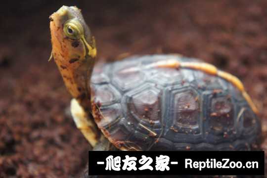 230211t7rggu9sormt7hf7.jpg