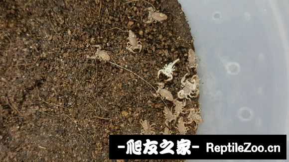 display_picture.php?url=http%3A%2F%2Fimgsa.baidu.com%2Fforum%2Fw%253D580%2Fsign%3D572f981ffa039245a1b5e107b796a4a8%2Faa8cb5389b504fc24183ded7e3dde71192ef6da2.jpg