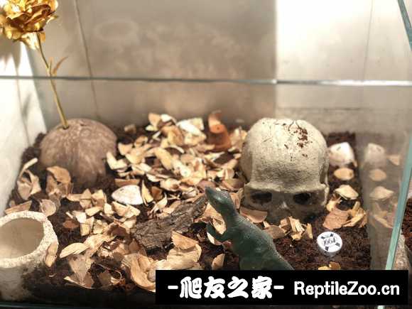 display_picture.php?url=http%3A%2F%2Fimgsa.baidu.com%2Fforum%2Fw%253D580%2Fsign%3D3bb6f897084f78f0800b9afb49300a83%2F05a815d8bc3eb135f3a1d178ad1ea8d3fc1f4435.jpg