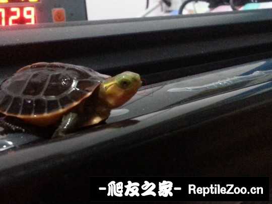 230646c6nq8mee8emeqi1n.jpg